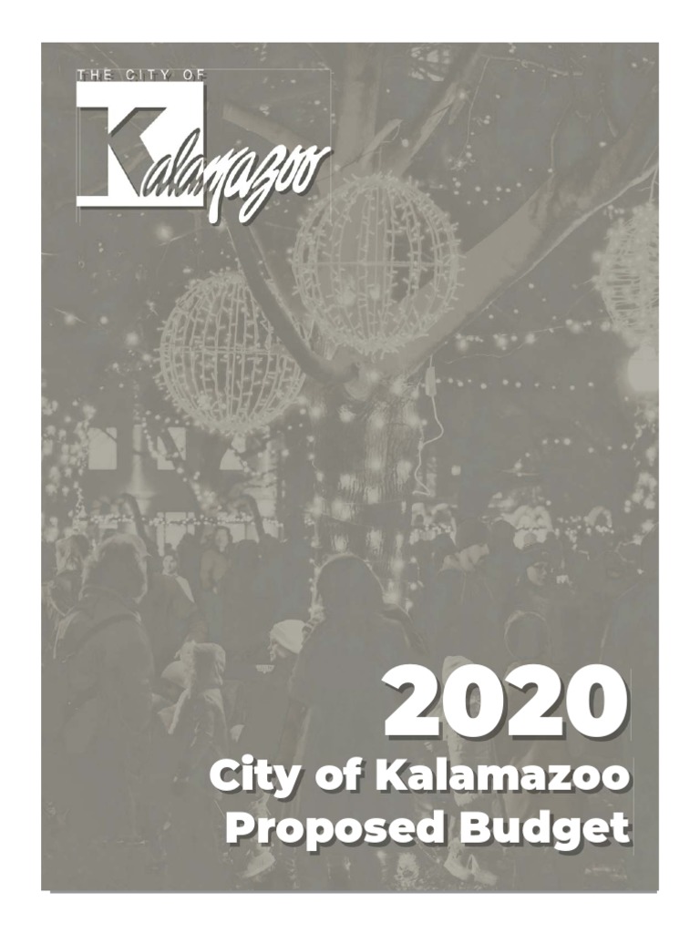 Kalamazoo 2020 Proposed Budget PDF Fund Accounting Taxes