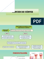 CANCER-DE-CERVIX.pdf