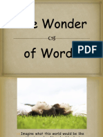 wonder_of_words.pdf