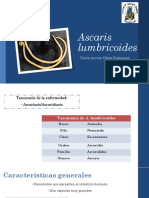 Ascaris Lumbricoides21