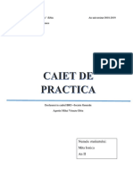 BRD-proiect Practica