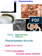 Platyhelminths