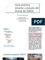 TORCH Neo HBLT 2018 PDF