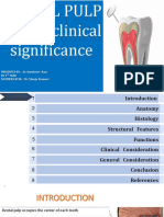 DENTAL PULP CLINICAL SIGNIFICANCE