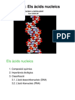 Àcids Nucleics