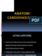 Anatomi Cardiovasculer