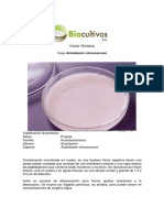 Ficha+Tecnica+Azotobacter+Chroococcum.pdf