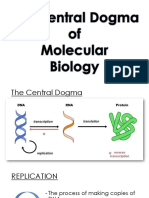 The Central Dogma: DNA Replication, Transcription and Translation