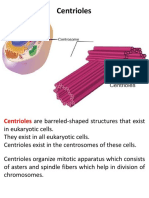 Microtubules, Cilia, Flagella Etc