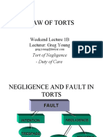 Law of Torts: Weekend Lecture 1B Lecturer: Greg Young