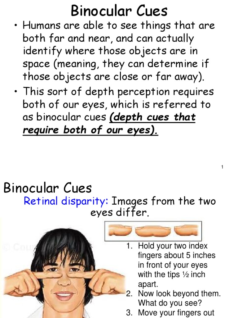 Perception 2 Binocular and Monocular Cues PDF Computer Graphics