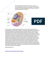 The Role of Lysosomes in Cellular Processes