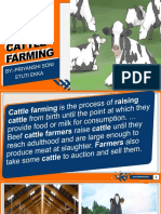 CATTLE FARMING