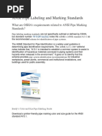 ANSI Pipe Labeling and Marking Standards