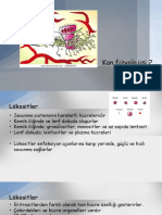 Kan2 PDF