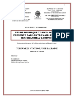 protocole lau - .docx Lauraine.pdf
