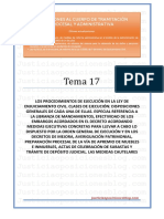 _Tema 17 - Proceso civil. Ejecución.pdf