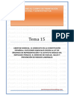 Tema 15 - Sindicato. Huelga PDF