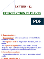 CHAPTER - 12 REPRODUCTION IN PLANTS Galaxysite - Weebly