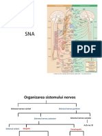 SNV2019.pdf