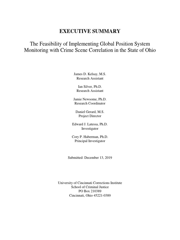 GPS Monitoring Report Executive Summary PDF Probation Officer