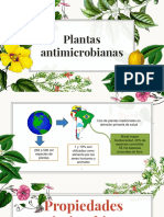 Botanica Plantas Antimicrobianas