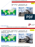 Restricciones Aduaneras, Liquidaciones y La Infraestructura Internacional