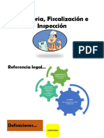 Auditoria, Fiscalización e Inspección