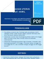 Perubahan Uterus Saat Hamil