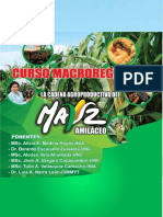 Curso Macroregional de La Cadena Agroproductiva Del Maiz Amilaceo