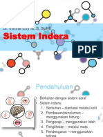 Sistem Indera