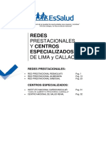 389039799-ESSALUD-DIRECTORIO-Redes-Lima-pdf.pdf