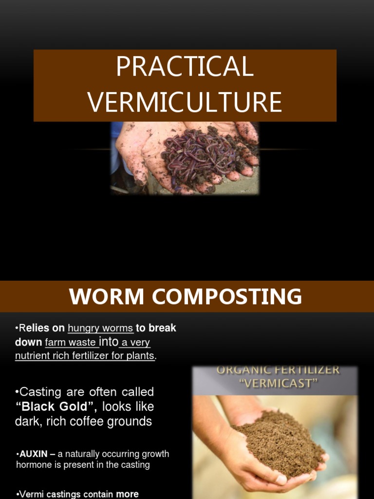 Vermiculture | Download Free PDF | Compost | Horticulture And Gardening