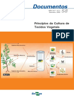 Princípios Cultura Tecidos Vegetais