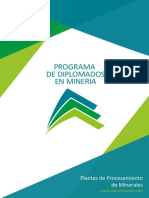 DS11-PLANTAS DE PROCESAMIENTO DE MINERALES.pdf