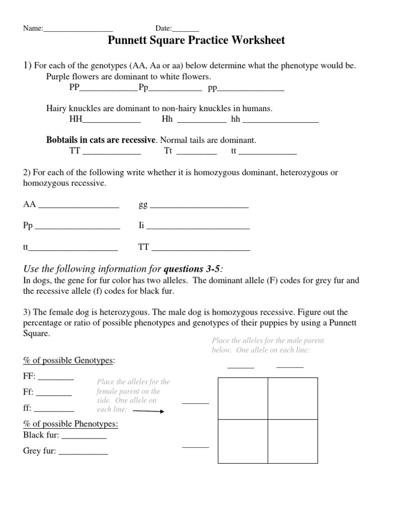 Punnett Square Practice Worksheet (Edited) PDF  Dominance With Punnett Square Practice Problems Worksheet