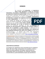 Los hongos: características y clasificación