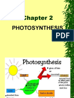 9 Photosynthesis PDF