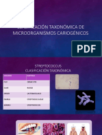 Clasificación Taxonómica de Microorganismos Cariogénicos