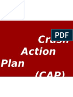 Crash Action Plan (CAP)