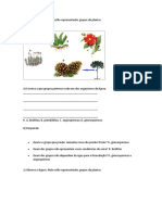 Grupos de plantas: briófitas, pteridófitas, gimnospermas e angiospermas