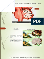 CEREBELO Trabalho1