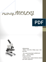 MIKROBIOLOGI (tgs Baru)