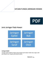 Struktur Dan Fungsi Jaringan Hewan