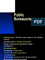 Public Bureaucracy