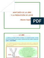 SEPARATA 3. ANATOMIA DE LA UBRE.pdf