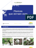 plantas_que_atraen_aves