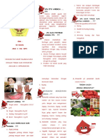 Leaflet Anemia