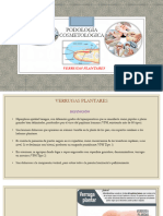 Patologías Podológicas Más Frecuentes Verrugas Plantares