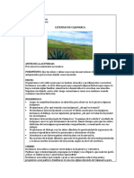 ACTIVIDADES DEL CAMPESINO.docx